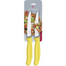 Набор из 2 ножей Victorinox Swiss Classic Gourmet 6.7936.12L8B